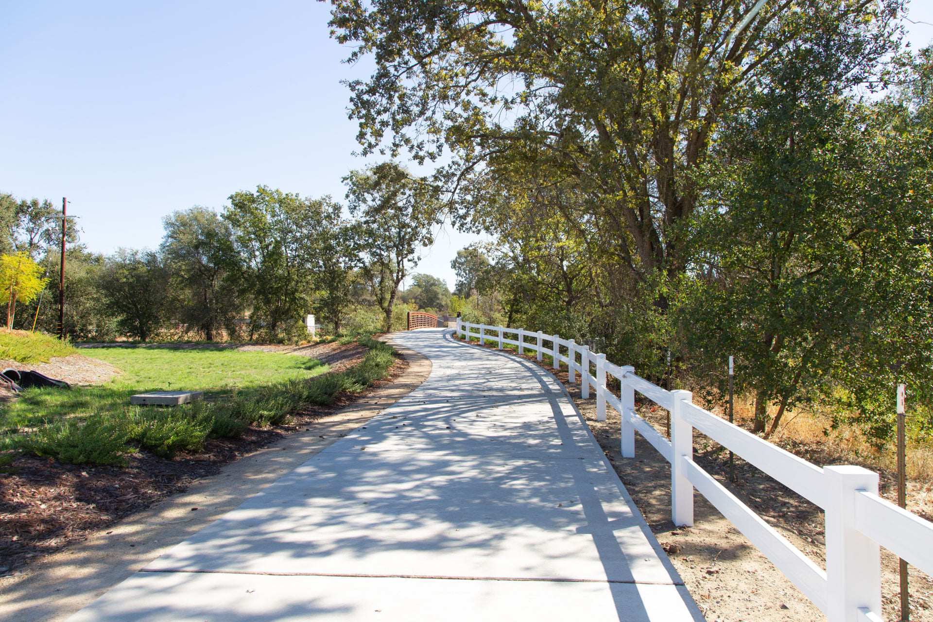 Sequoia Grove walkway