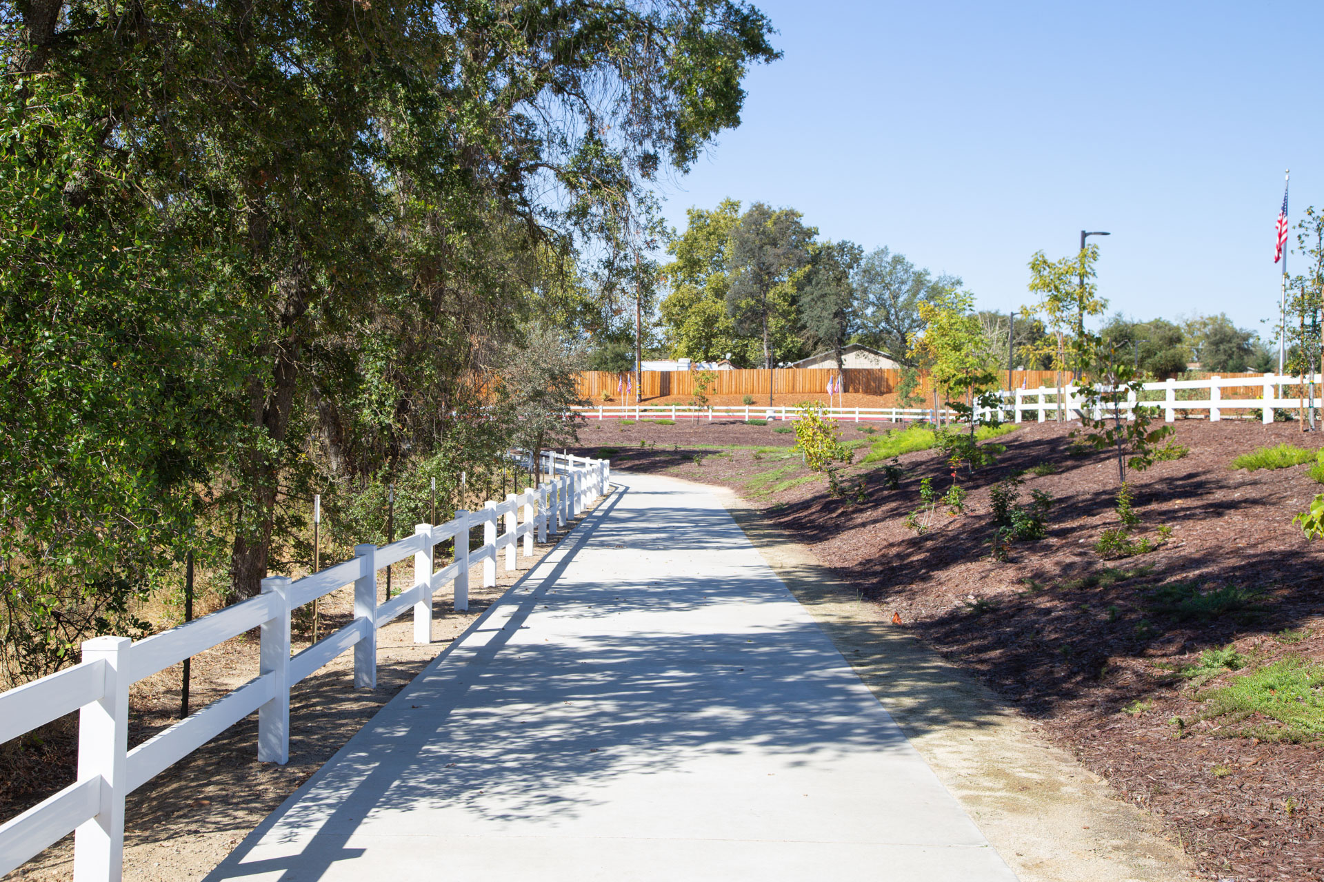 Sequoia Grove walkway